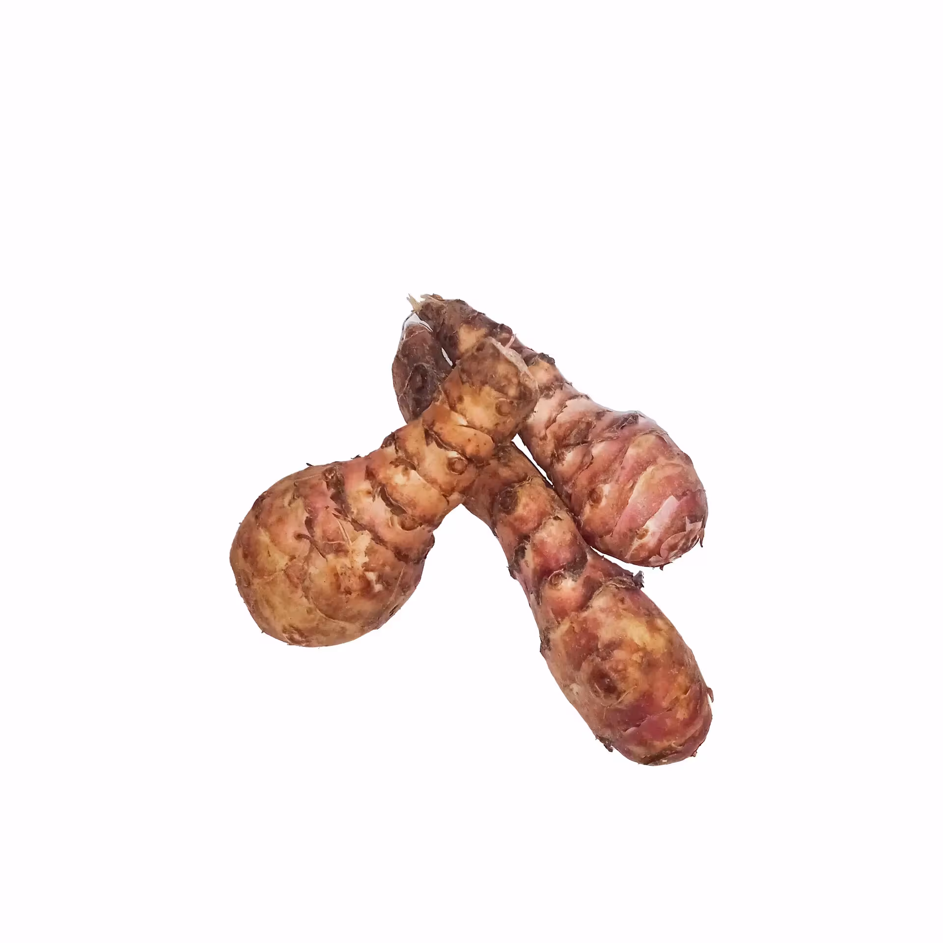Artichoke Jerusalem 500g France